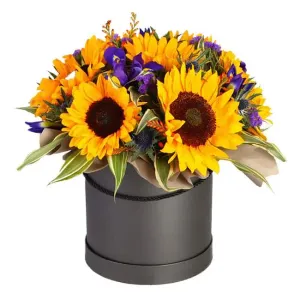 Твой Магеллан